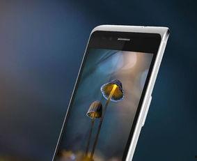 手机国产在线,在线市场的新星闪耀